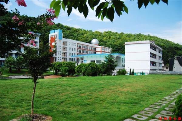 返母校实践队8月4日简报 (2)