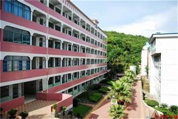 返母校实践队8月4日简报 (1)